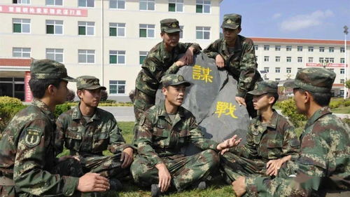 社區(qū)“洋營(yíng)長(zhǎng)” 從軍營(yíng)到警營(yíng)，初心不變?yōu)槊穹?wù)，深耕網(wǎng)絡(luò)技術(shù)研究